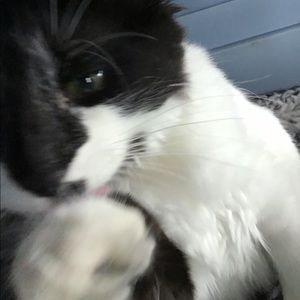 Meet your Posher, Brenna